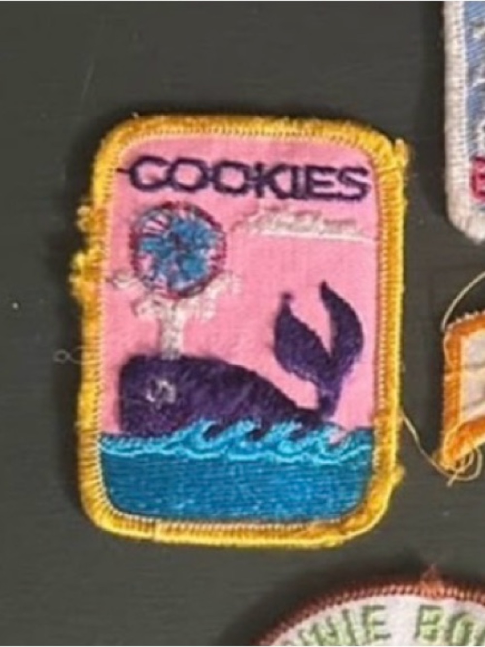 Vintage 1971 Girl Scouts Cookie Patch